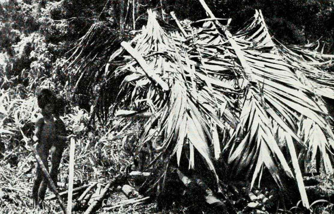 THE STONE AGE TRIBE THAT NEVER WAS